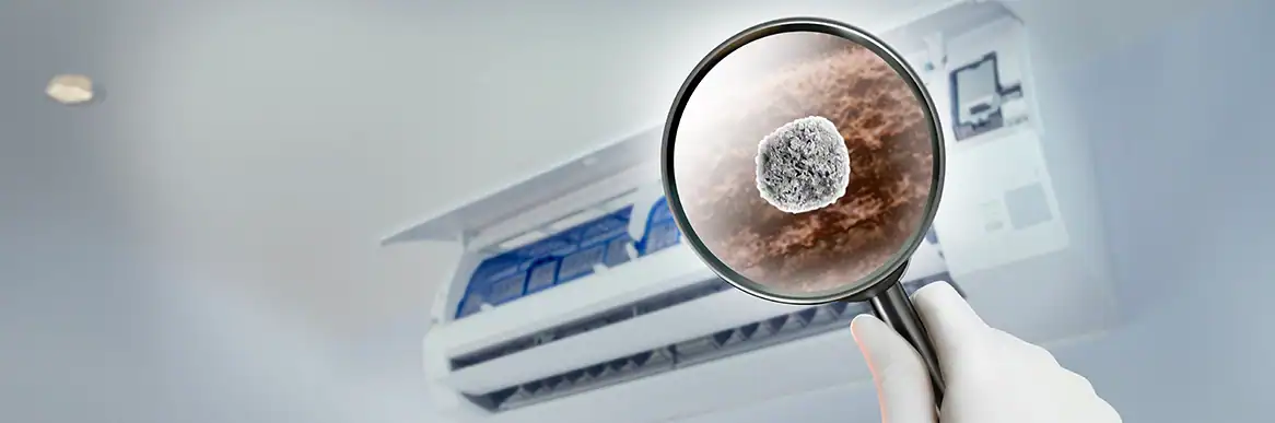 Allergy-Proof Your Home Effective HVAC Solutions