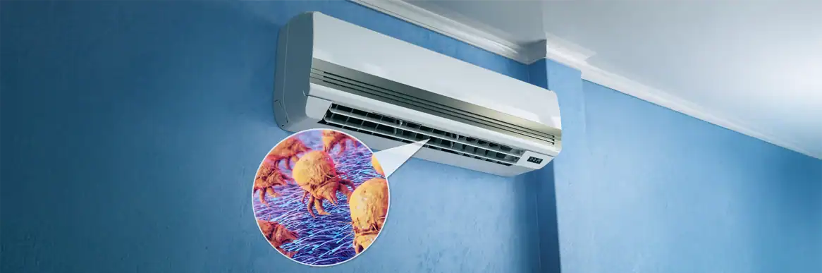 Dust mites shown inside a ductless mini split system